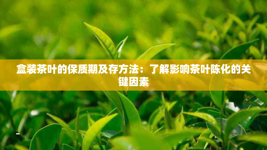 盒装茶叶的保质期及存方法：了解影响茶叶陈化的关键因素