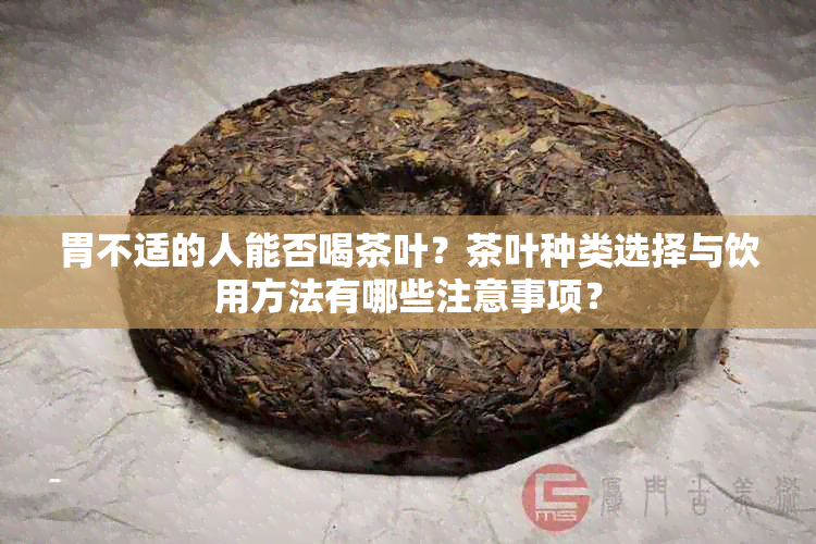 胃不适的人能否喝茶叶？茶叶种类选择与饮用方法有哪些注意事项？