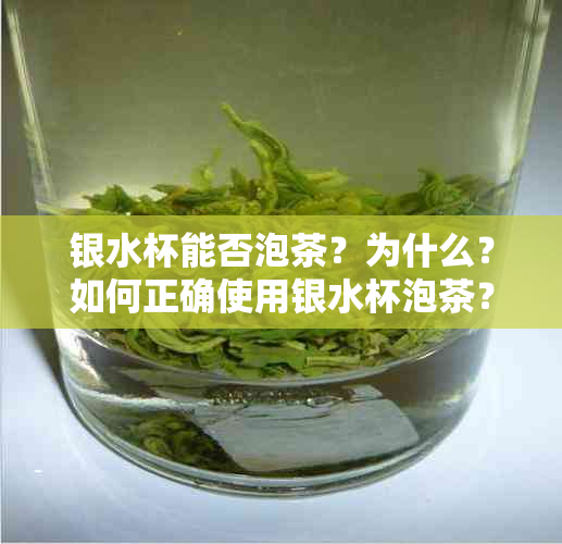 银水杯能否泡茶？为什么？如何正确使用银水杯泡茶？