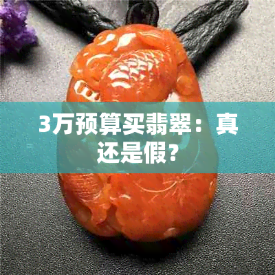 3万预算买翡翠：真还是假？