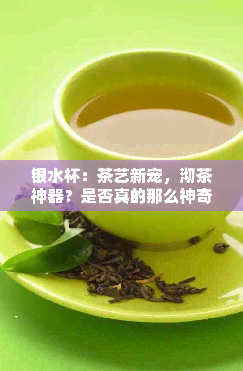 银水杯：茶艺新宠，沏茶神器？是否真的那么神奇？