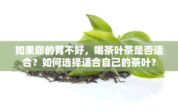 如果您的胃不好，喝茶叶茶是否适合？如何选择适合自己的茶叶？