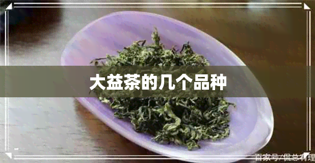 大益茶的几个品种