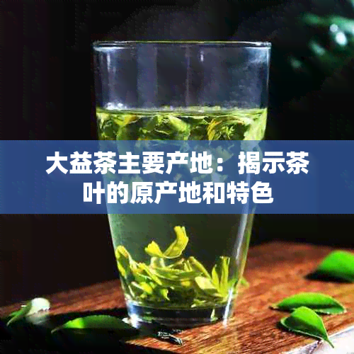 大益茶主要产地：揭示茶叶的原产地和特色