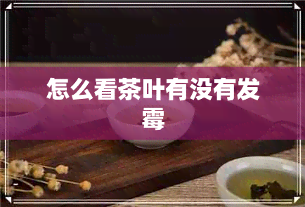 怎么看茶叶有没有发霉