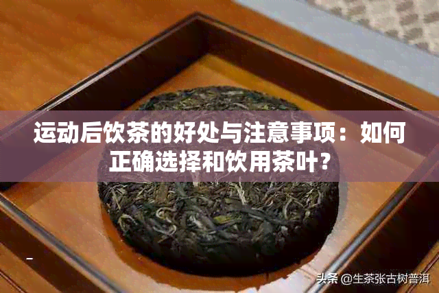 运动后饮茶的好处与注意事项：如何正确选择和饮用茶叶？