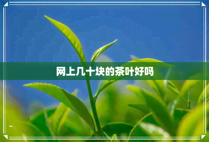 网上几十块的茶叶好吗