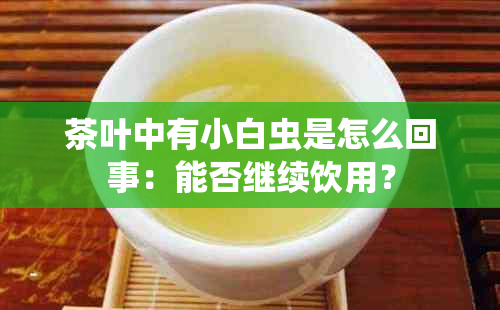 茶叶中有小白虫是怎么回事：能否继续饮用？