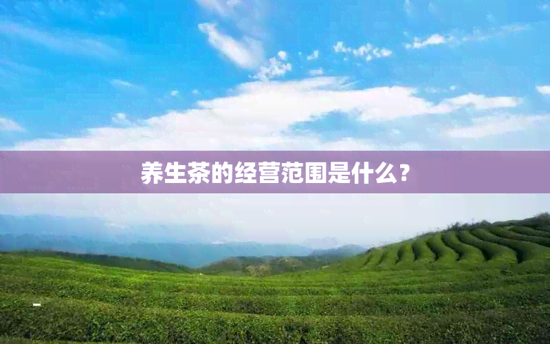 养生茶的经营范围是什么？