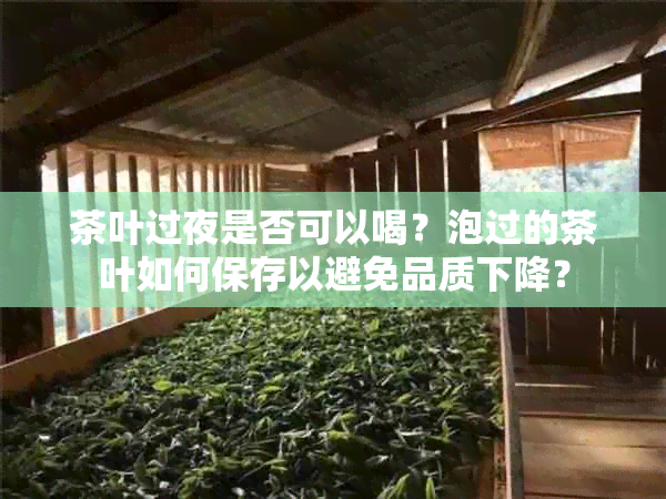 茶叶过夜是否可以喝？泡过的茶叶如何保存以避免品质下降？