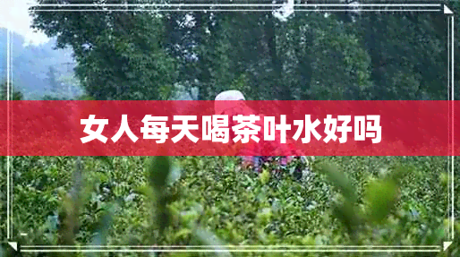 女人每天喝茶叶水好吗