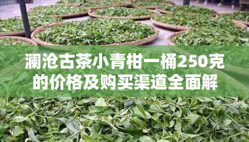 澜沧古茶小青柑一桶250克的价格及购买渠道全面解析