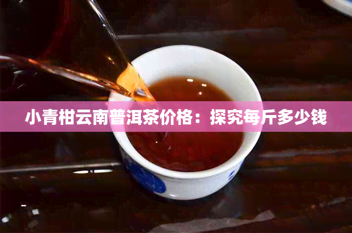 小青柑云南普洱茶价格：探究每斤多少钱