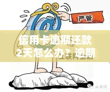 信用卡逾期还款2天怎么办？逾期还款会产生哪些影响及如何补救方法全面解析