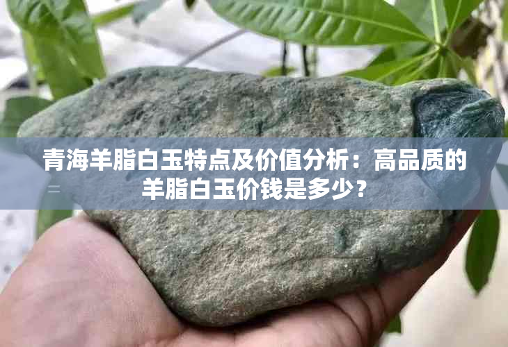 青海羊脂白玉特点及价值分析：高品质的羊脂白玉价钱是多少？