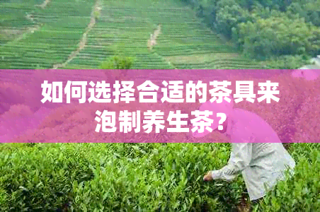 如何选择合适的茶具来泡制养生茶？