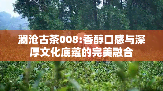 澜沧古茶008:香醇口感与深厚文化底蕴的完美融合