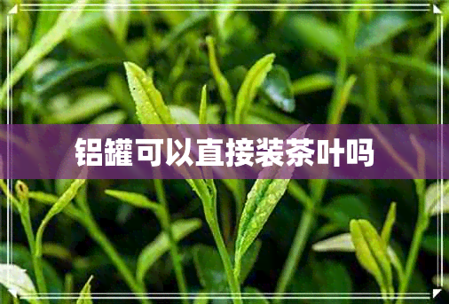 铝罐可以直接装茶叶吗