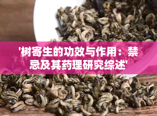 '树寄生的功效与作用：禁忌及其理研究综述'