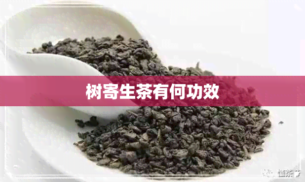 树寄生茶有何功效