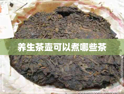 养生茶壶可以煮哪些茶