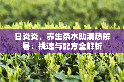 日炎炎，养生茶水助清热解暑：挑选与配方全解析