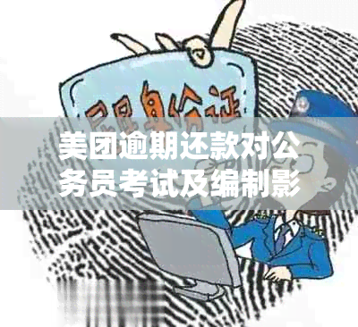 美团逾期还款对公务员考试及编制影响探讨