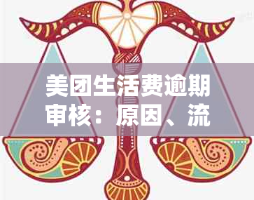 美团生活费逾期审核：原因、流程及影响全方位解析，如何避免？