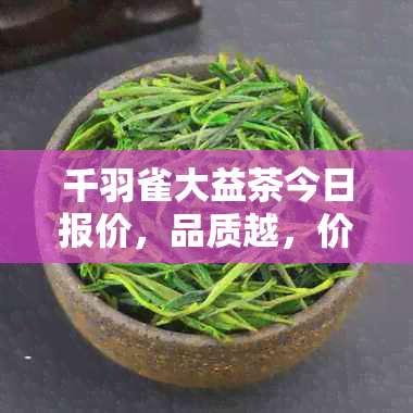 千羽雀大益茶今日报价，品质越，价格实，不容错过！