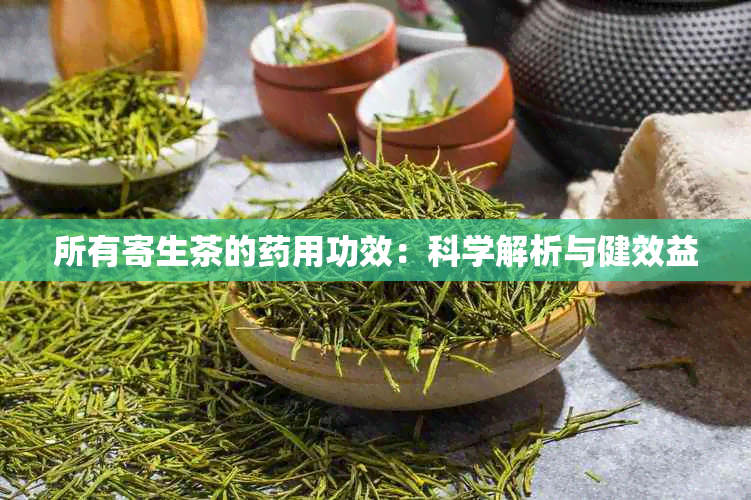 所有寄生茶的用功效：科学解析与健效益