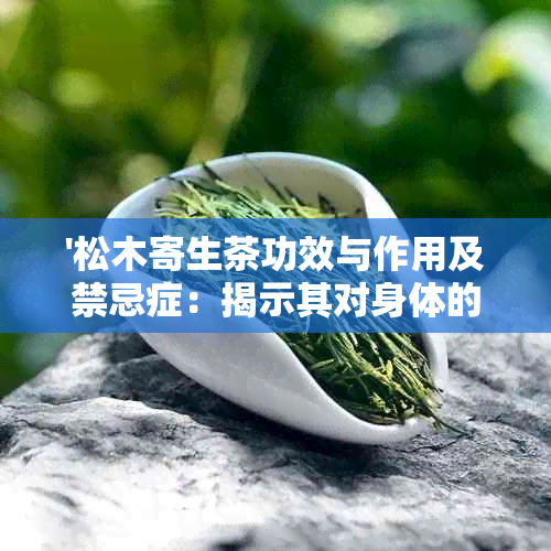 '松木寄生茶功效与作用及禁忌症：揭示其对身体的实际影响和适用性'