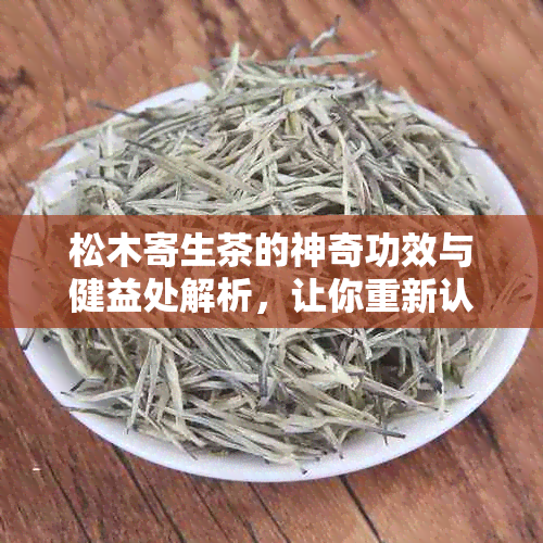 松木寄生茶的神奇功效与健益处解析，让你重新认识这种自然宝藏