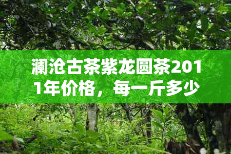 澜沧古茶紫龙圆茶2011年价格，每一斤多少钱？