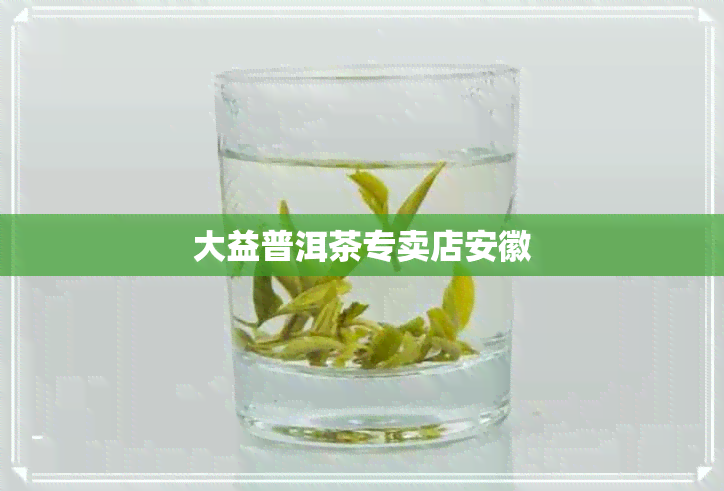 大益普洱茶专卖店安徽