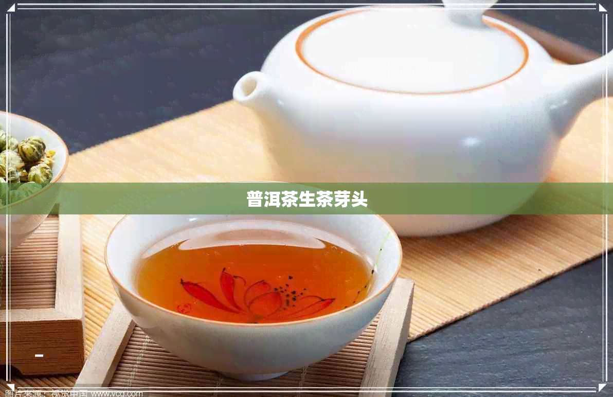 普洱茶生茶芽头