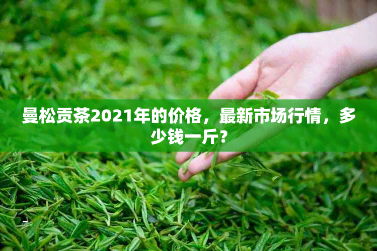 曼松贡茶2021年的价格，最新市场行情，多少钱一斤？