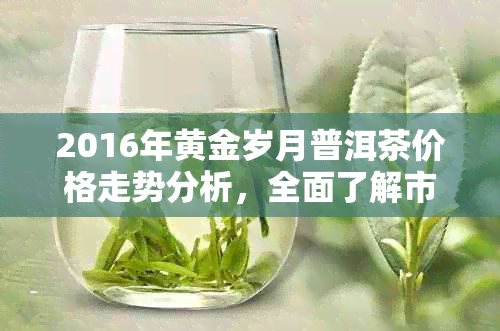 2016年黄金岁月普洱茶价格走势分析，全面了解市场行情及投资建议