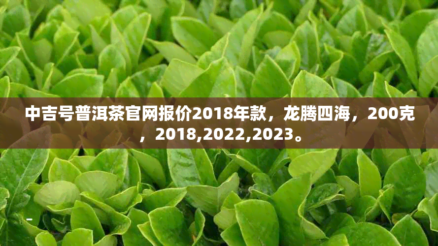 中吉号普洱茶官网报价2018年款，龙腾四海，200克，2018,2022,2023。