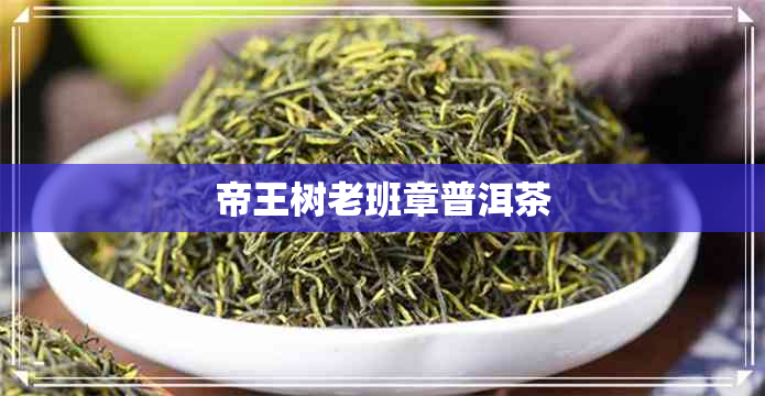 帝王树老班章普洱茶