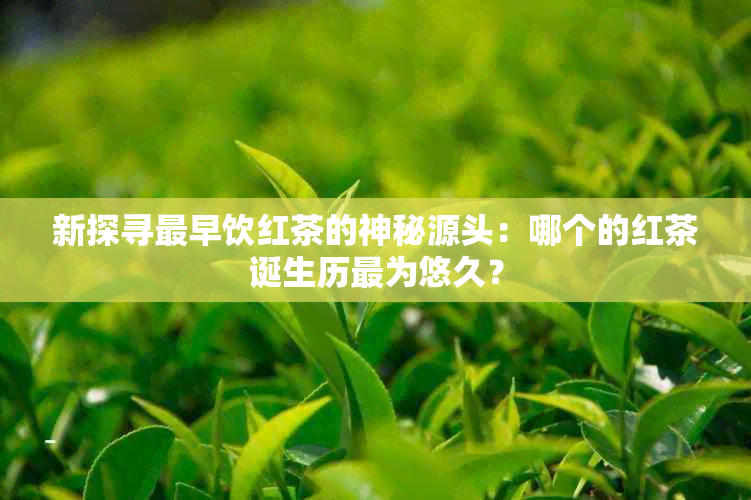 新探寻最早饮红茶的神秘源头：哪个的红茶诞生历最为悠久？