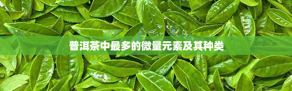 普洱茶中最多的微量元素及其种类