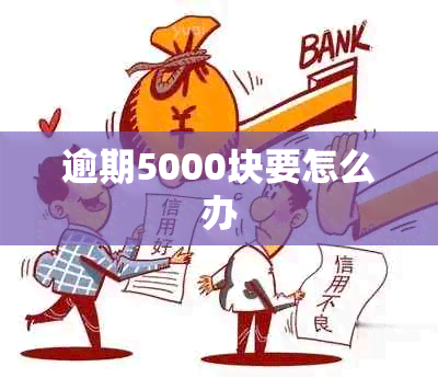 逾期5000块要怎么办