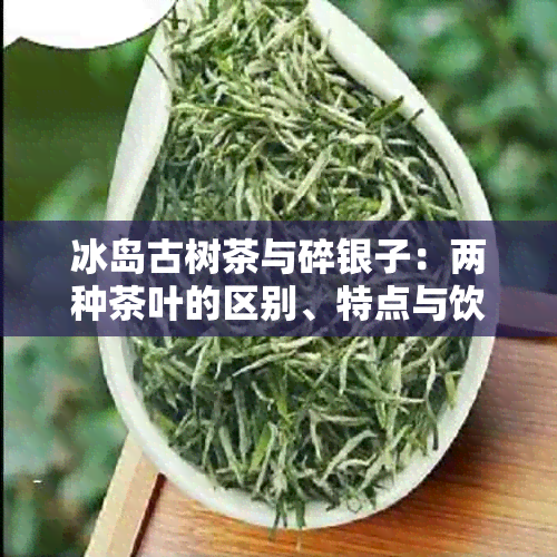 冰岛古树茶与碎银子：两种茶叶的区别、特点与饮用方法全面解析