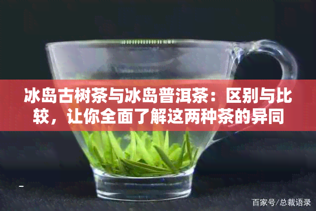 冰岛古树茶与冰岛普洱茶：区别与比较，让你全面了解这两种茶的异同