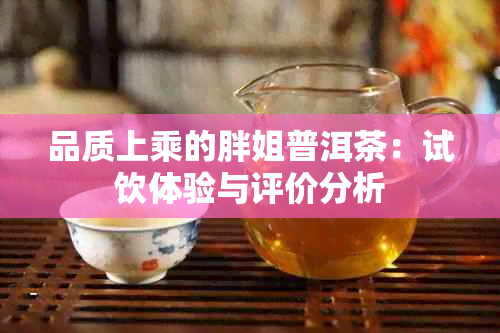 品质上乘的胖姐普洱茶：试饮体验与评价分析