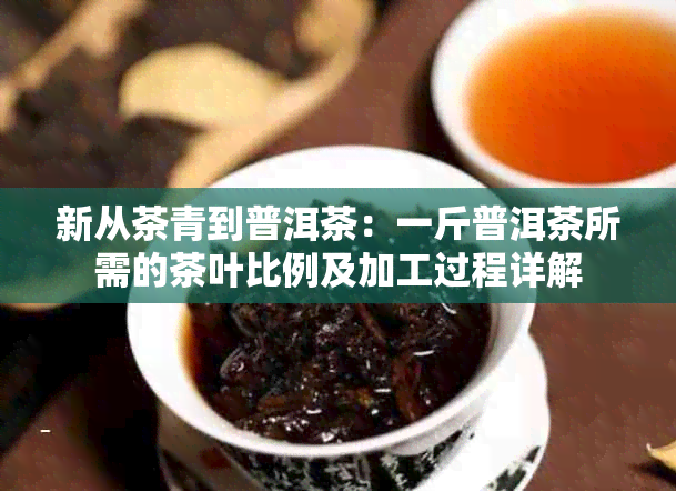 新从茶青到普洱茶：一斤普洱茶所需的茶叶比例及加工过程详解