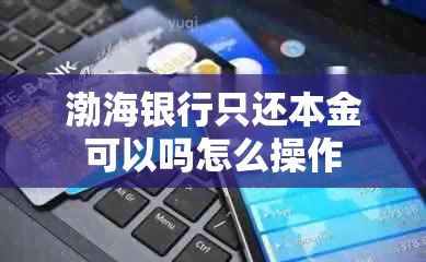 渤海银行只还本金可以吗怎么操作