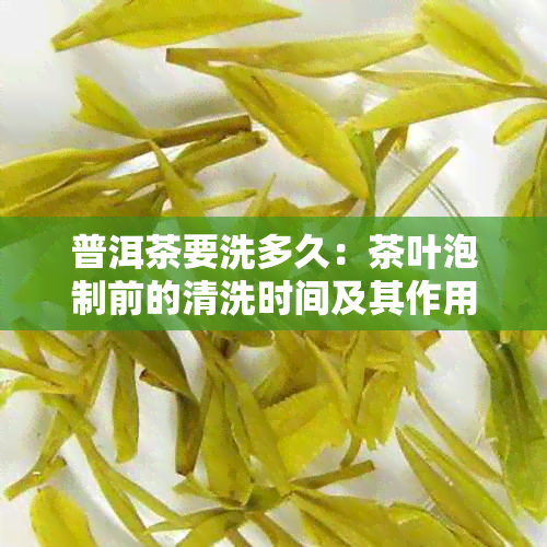 普洱茶要洗多久：茶叶泡制前的清洗时间及其作用