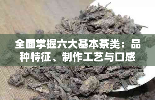 全面掌握六大基本茶类：品种特征、制作工艺与口感评价