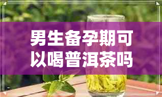 男生备孕期可以喝普洱茶吗